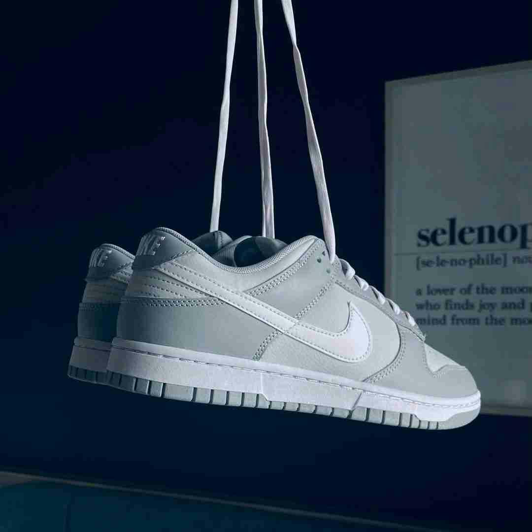 Nike Dunk Low 'Grey White' DJ6188-001 Nike Dunk Low 'Grey White' DJ6188-001
